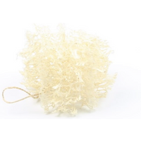 Loofah Dish Sponge