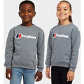 Berghaus Kids' Logo Jumper, Grey