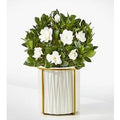 8-inch Fragrant Gardenia Plant - FedEx