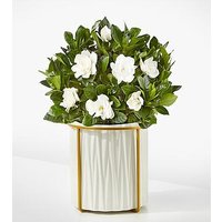 8-inch Fragrant Gardenia Plant - FedEx