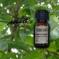 Elemi naturalny olejek eteryczny - Elemi z żywicy - 50ml