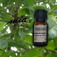Elemi naturalny olejek eteryczny - Elemi z żywicy - 50ml