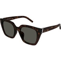 SAINT LAURENT Kvinde SAINT LAURENT SL M143 002 Solbriller Acetat Havana Grå Cat Eye