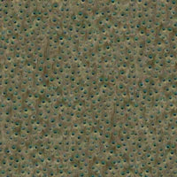 Coordonne Wallpaper Peafowl 5800051