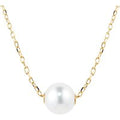 Classic Collection 8mm Grade A+ Akoya Pearl Pendant