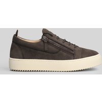 Giuseppe Zanotti