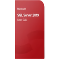Microsoft SQL Server 2019 Standard 50 User CAL