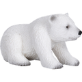 Polar bear cub Sitting