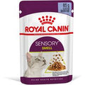 Royal Canin Sensory Smell in Gelatina - 12 x 85 g