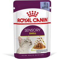 Royal Canin Sensory Smell in Gelatina - 12 x 85 g