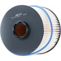 MEYLE Filtro Carburante ORIGINAL Quality 714 323 0012 Filtro Combustibile FORD,FIAT,PEUGEOT,Focus II Schrägheck (DA_, HCP, DP),C-MAX (DM2),FOCUS III