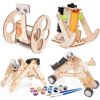 STEM Two Wheel Balance Car Robot DIY Science Kits Kids Students Fun Wooden Assembly Physics Electric Building Kit