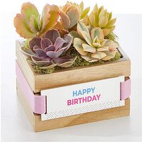 It's your Birthday Succulent Garden - FedEx