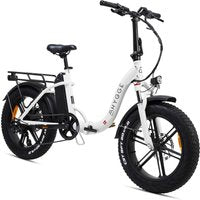Hygge Vester Step Through Electric Bike Heron White Foldable