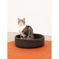 Kuno kattenmand