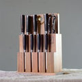 11-Piece Kitchen Knife Block Set