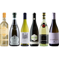 Italian White Wine Premium Tasting Case