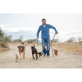 Accredited Expert Dog Walking Course with Ian Stone - Online Certification, Save 90% | Wowcher