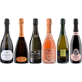 Franciacorta Premium Tasting Case