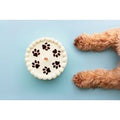 Online Doggy Dessert Chef Certification Course - Holly and Hugo | Wowcher