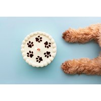 Online Doggy Dessert Chef Certification Course - Holly and Hugo | Wowcher