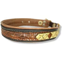 Hundehalsband barna #37