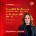 Remédios Antitruste e Acordos em Controle de Concentração (ACCs)