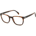 Brown Horn / 52