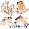 STEM Two Wheel Balance Car Robot DIY Science Kits Kids Students Fun Wooden Assembly Physics Electric Building Kit