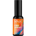CBD Spray 1000mg Apfelgeschmack - Breitspektrum