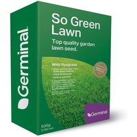 So-Green Lawn Seed 500g