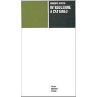 Introduzione a Cattaneo