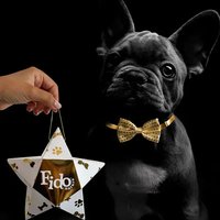 Stella regalo con Profumo da 30 ml + Papillon Fido Natura con papillon oro - 1° ORDINE? scegli tra BZR5 - BZR20 + 200 pt fedeltà