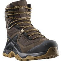 Bota Salomon Quest Element GTX Masculina Marrom