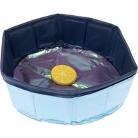 Piscina per gatti con giochi galleggianti - 1 pz