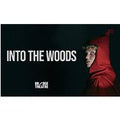 Into the Woods