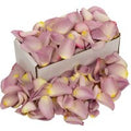 1 Box of Lilac Rose Petals