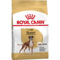 Royal Canin Boxer Adult - 2 x 12 kg - Pack Ahorro