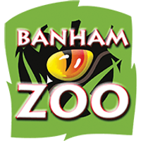 Banham Zoo - Adult