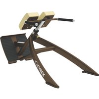 Cybex 45 degree Back Extension