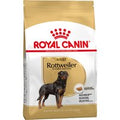 Royal Canin Rottweiler Adult Crocchette - 12 kg
