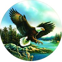SunsOut Adler-Landung 500 Teile Puzzle Sunsout-28354