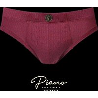 The Ambassador - burgundy briefs