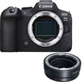 Canon EOS R6 Mark II Mirrorless Camera Body with EF-EOS R mount adapter