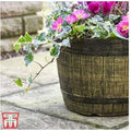 Weatherproof Whisky Barrel Garden Planter - Lightweight, 30cm Pot | Wowcher
