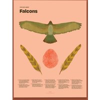 Falcon Fun Facts Print