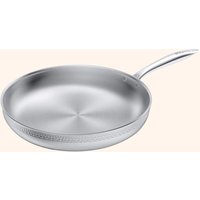 Stainless Steel Frying Pan 12"