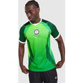Nike Nigeria 2026 Home Shirt, groen