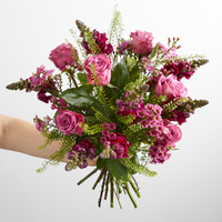 3 Month Gift Subscription - Fortnightly