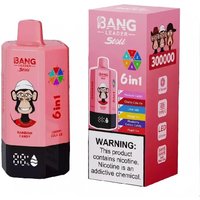 BANG LEADER STOLL 300K | 6-in-1 300000 puffs, rechargeable, bulk disposable vape